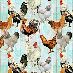 Multi - Chickens On Faded Fence